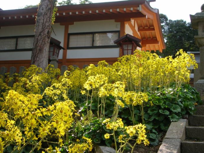 山王宮日吉神社の神前結婚式ならではの良さについて