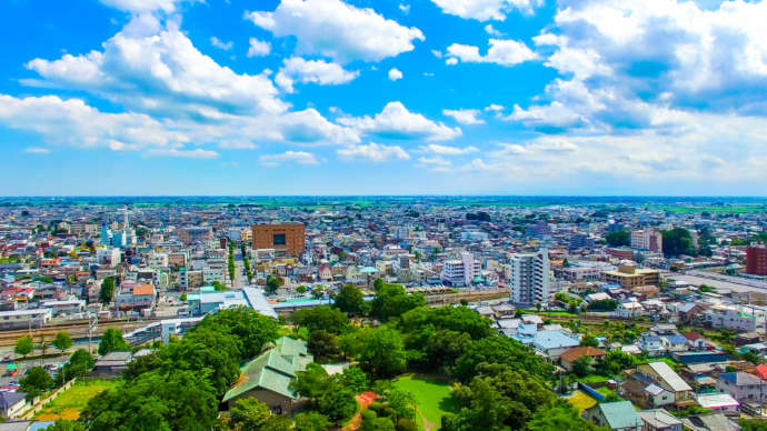 佐野市の全景