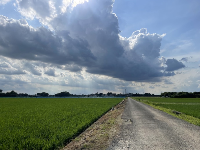 田園風景