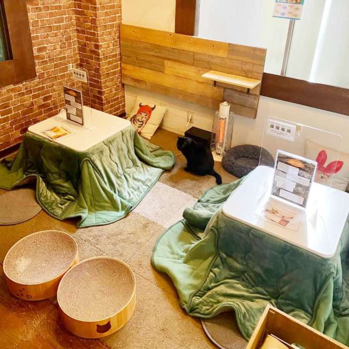 SAVE CAT CAFEの店内