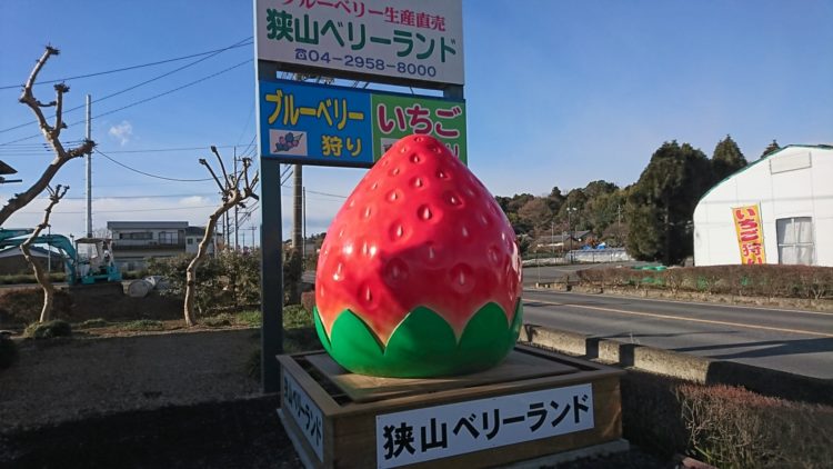 狭山ベリーランドの果物狩りについて