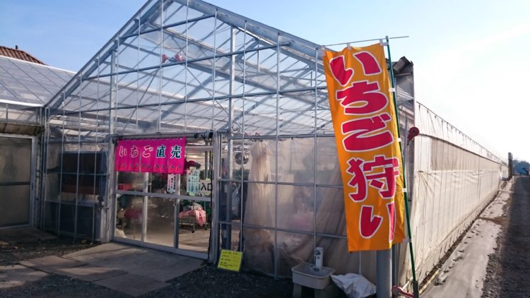 狭山ベリーランドの入園料や果物狩りの利用料について