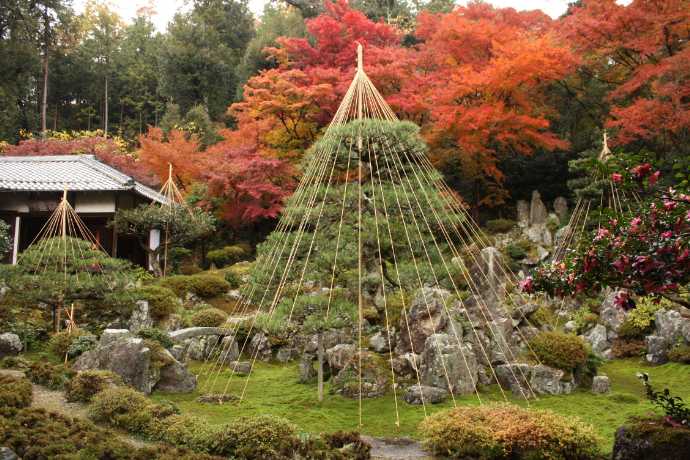 滋賀県米原市にある青岸寺の紅葉の様子