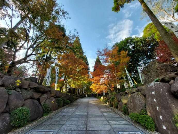 青隆寺に続く紅葉した参道