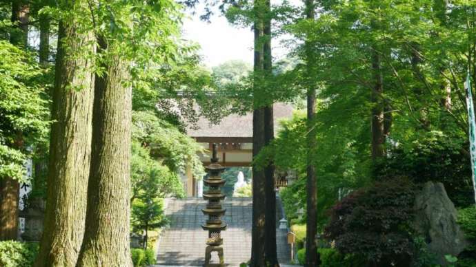 青隆寺の参道より見える仁王門と青葉