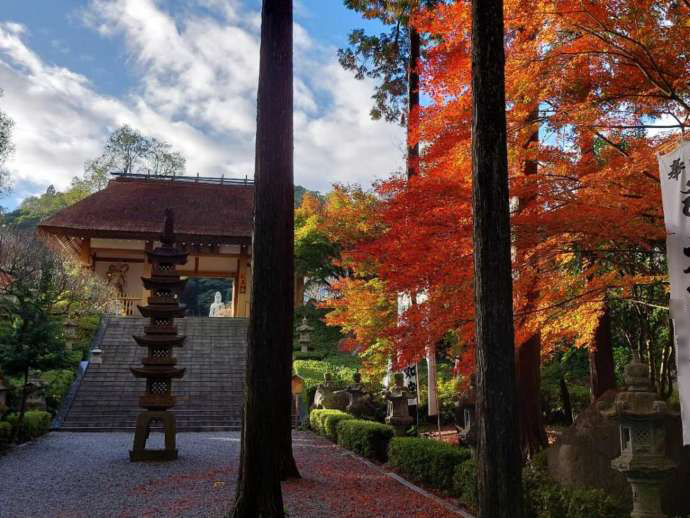 青隆寺の仁王門と紅葉