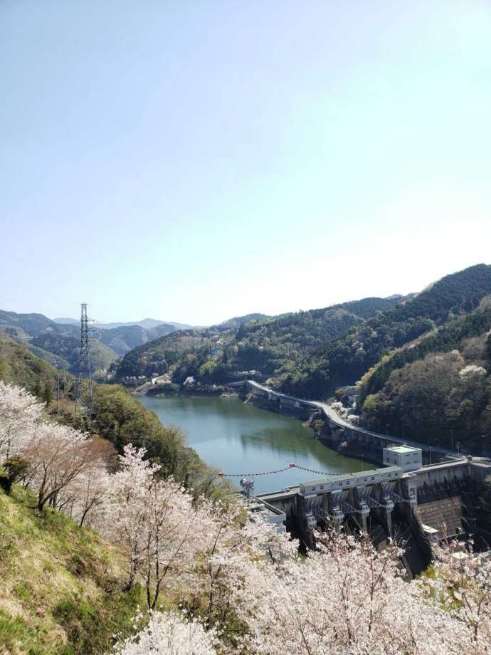 鹿野川園地から鹿野川ダムを一望した風景