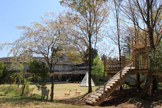 せきかわ歴史とみちの館の脇にある芝生広場