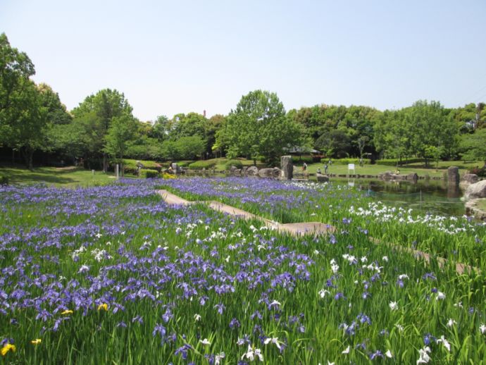 諏訪公園の外観