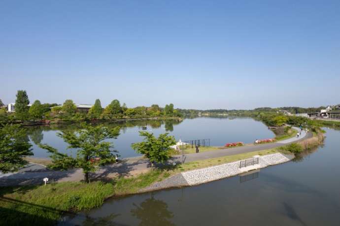 水戸市にある千波湖