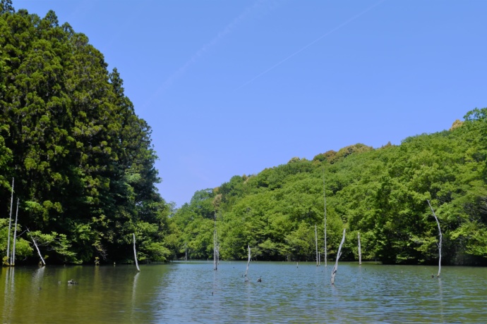 瀬戸市の海上の森