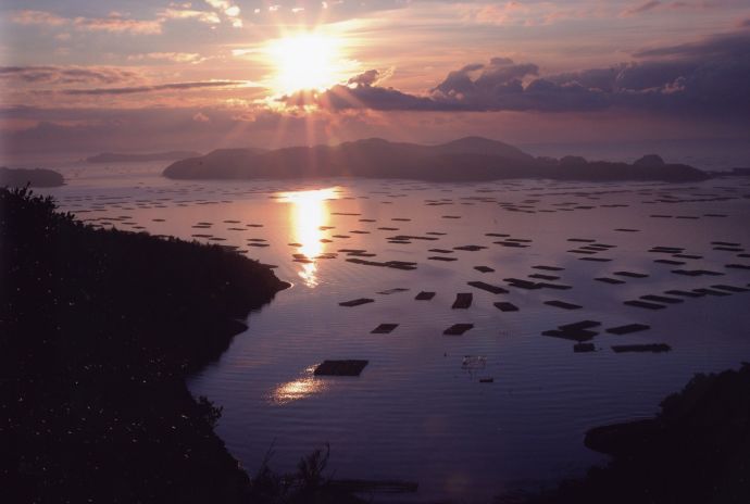 夜明けの虫明迫門