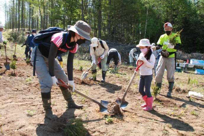 斜里町の植樹祭の様子