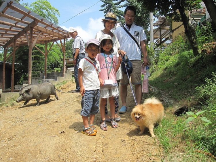 渋川動物園で体験できるわんことのお散歩