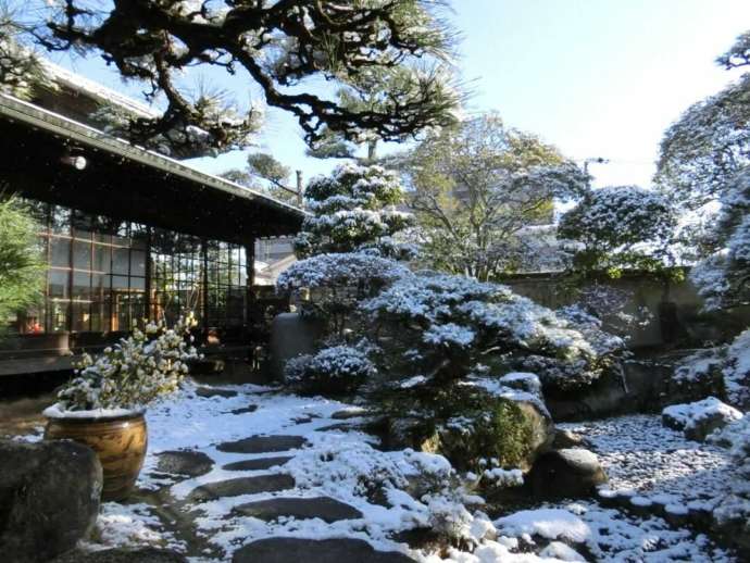 冬のしぶや美術館本館の前庭