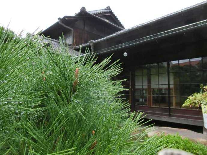 雨の日のしぶや美術館本館の前庭の様子