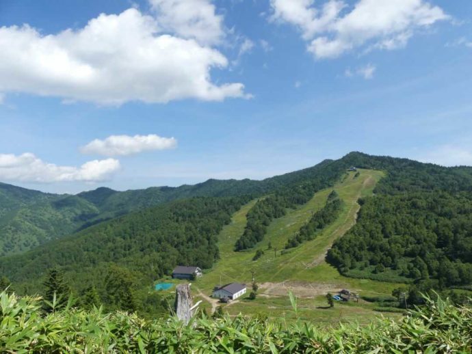 東館山高山植物園の山頂付近からの風景