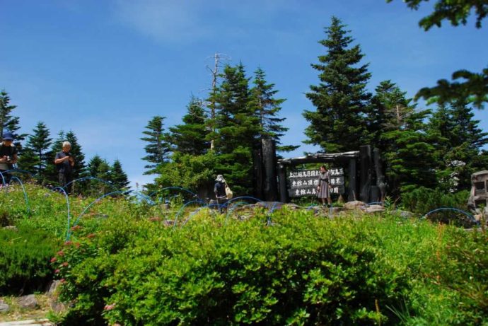 東館山高山植物園の手作り看板