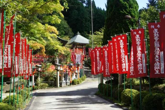 「玉桂寺前」の両脇に立てられた鮮やかなのぼりと緑が映える