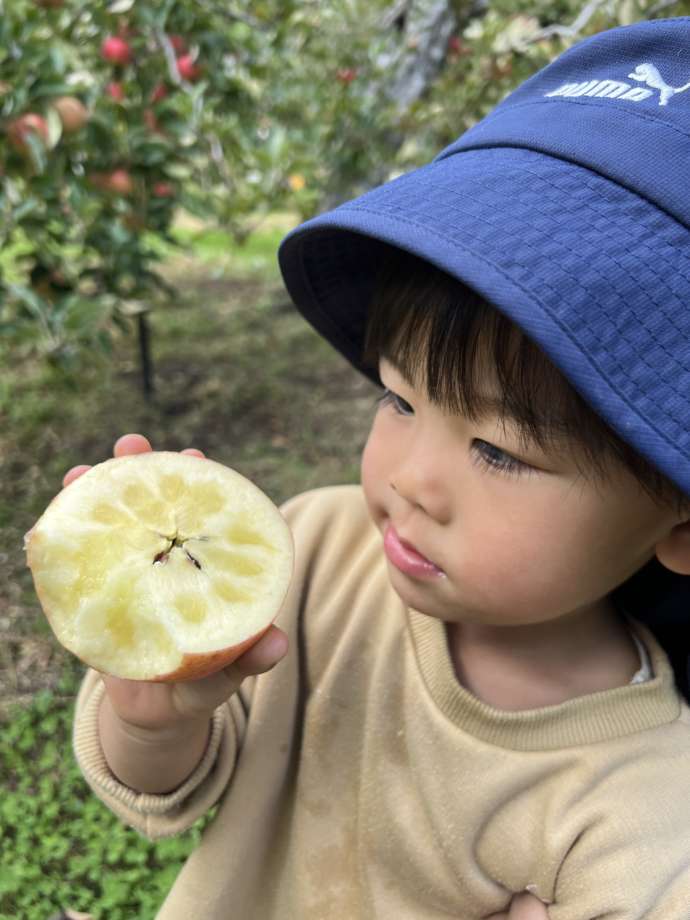 色麻町のりんごをかじる子供