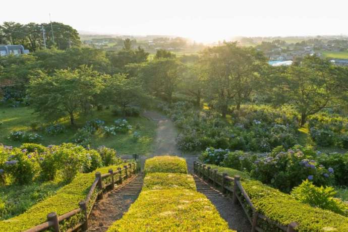 緑豊かな愛宕山公園