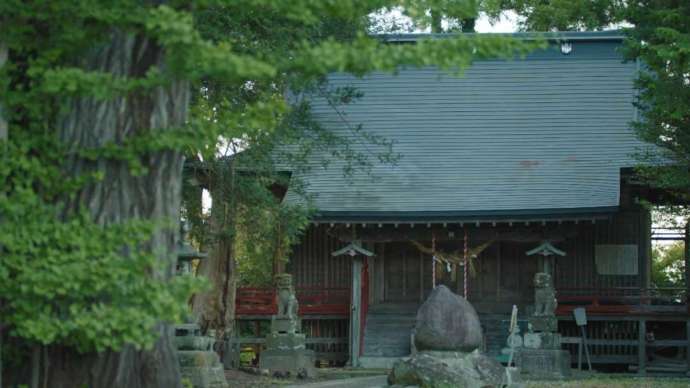 おかっぱ様として親しまれる磯良神社