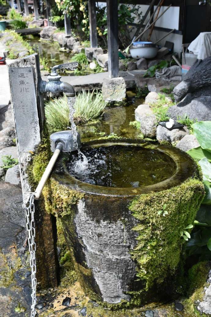 島原市の湧水スポット