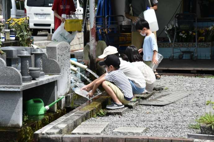 島原市の湧水スポット