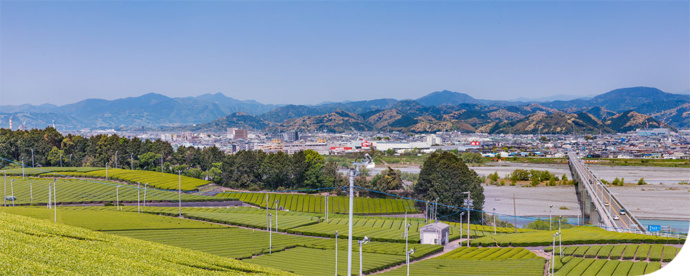 静岡県島田市の風景