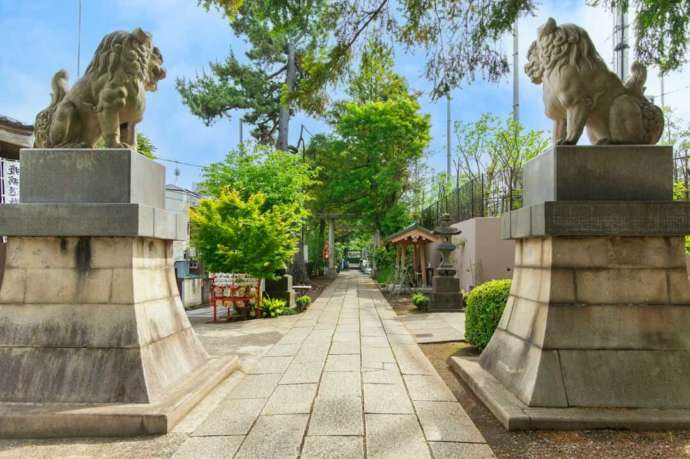 下神明天祖神社の狛犬越しに参道を見た風景