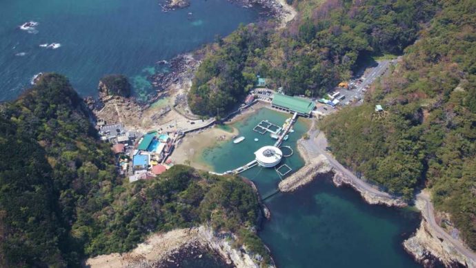 下田海中水族館の遠景