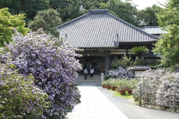 下田市にある了仙寺