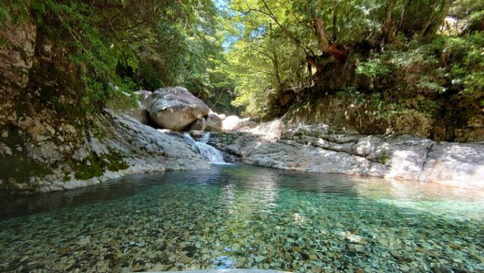 下北山村を流れる川