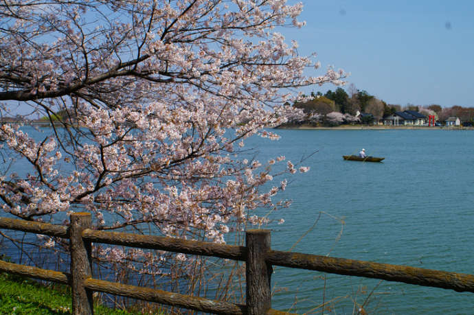 砂沼の風景