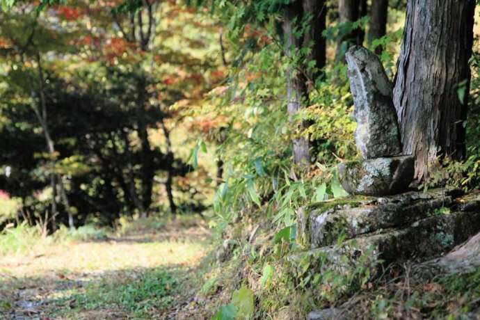 園原の里を通る「歴史の路」