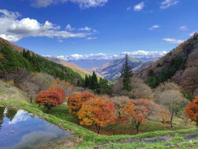 「暮白の滝」の滝見台から眺める絶景（秋季）