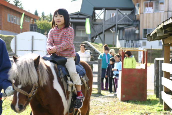 新郷村の「間木ノ平グリーンパーク」のポニー乗馬体験