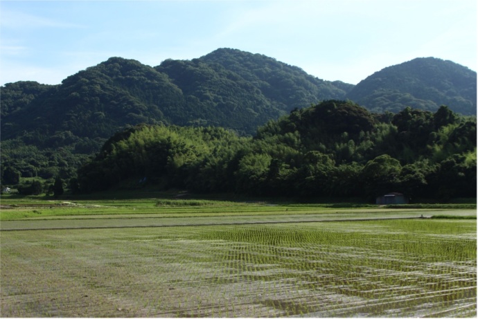 立花山