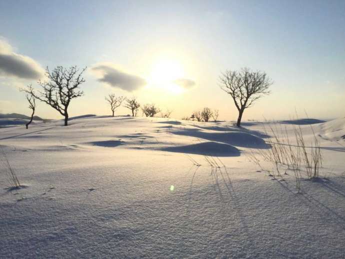 シンラの知床五湖スノーシューイングで見られる雪原