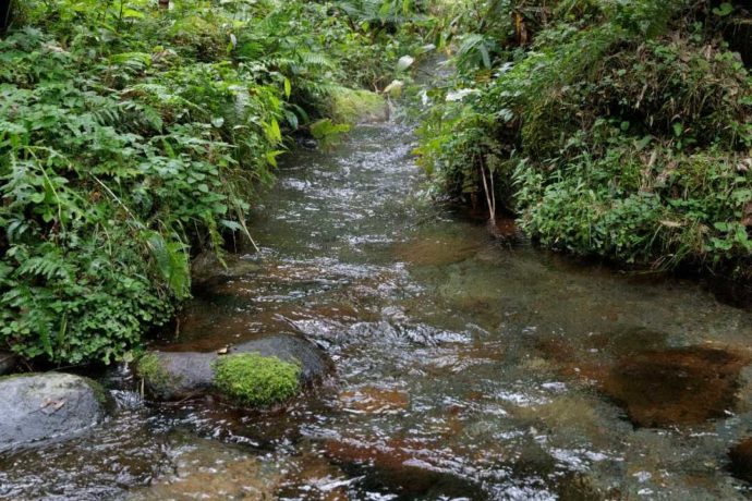 岡山県真庭市にあるひるぜん塩釜キャンピングヴィレッジ内にある川の様子