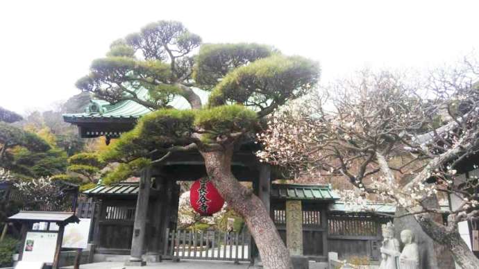 長谷寺の外観