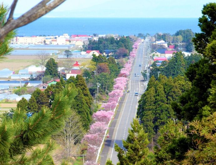 北海道知内町のまちの様子