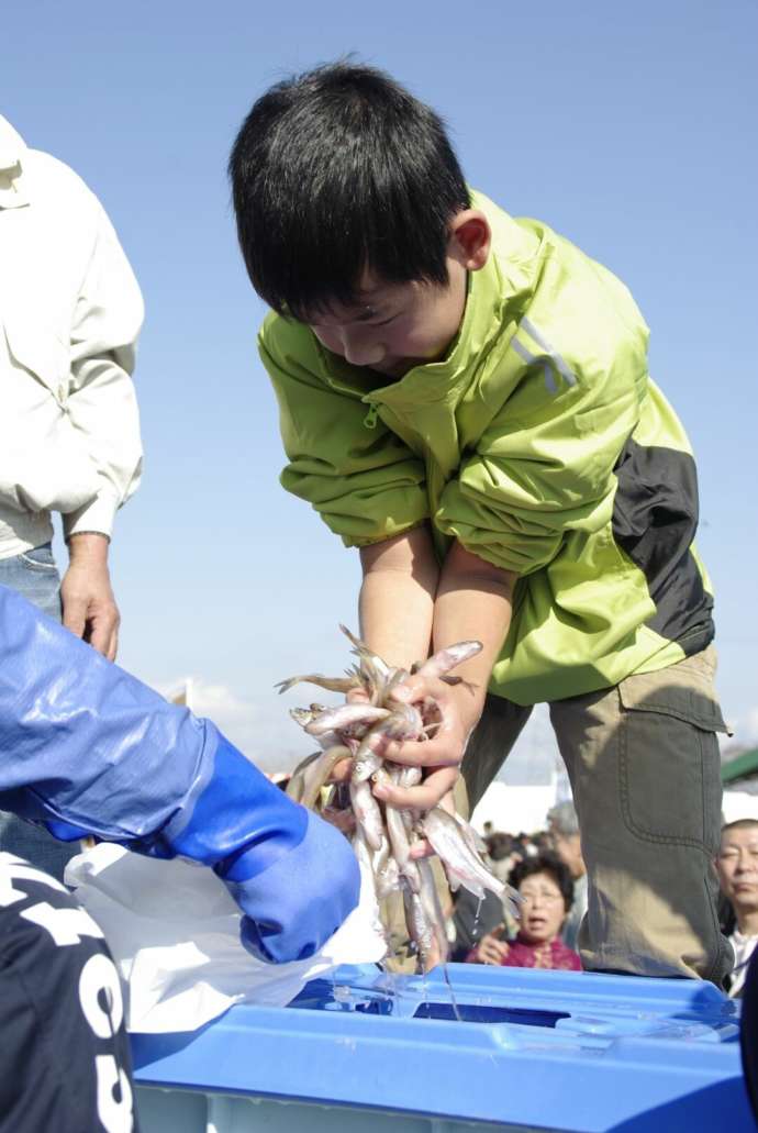 門別ししゃも祭りで掴み取りをする子ども