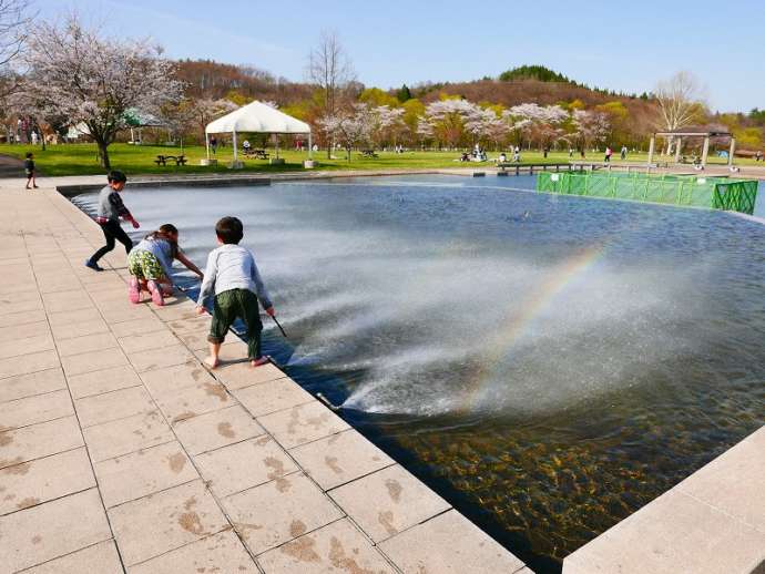 御所湖広域公園ファミリーランドの噴水池