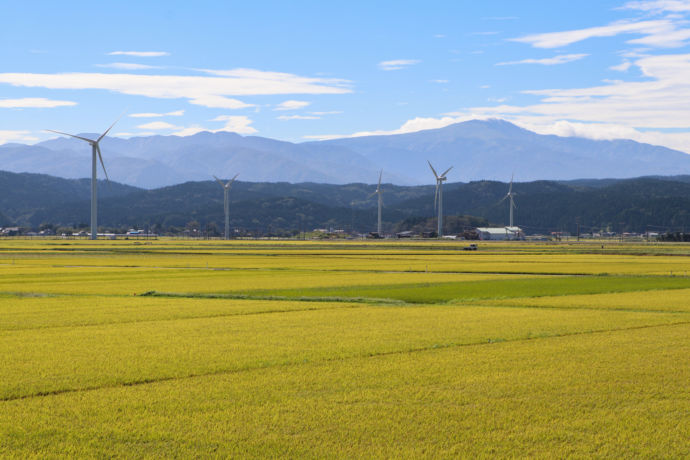 山形県庄内町の庄内平野