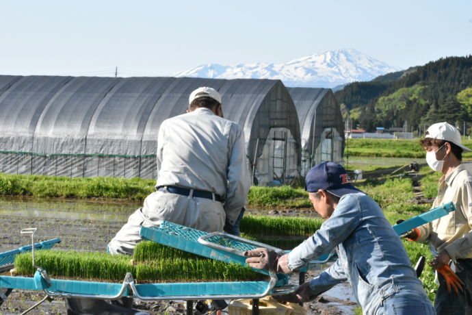 山形県庄内町の農家の方々