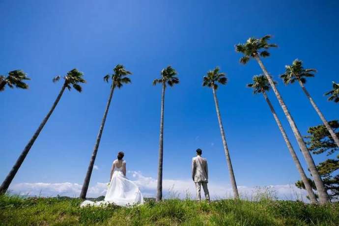 湘南プレミアムWeddingでは海辺でも式が挙げられる