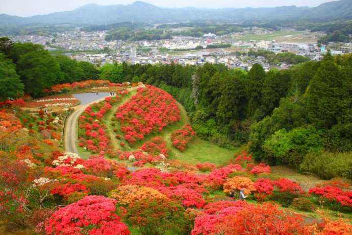 笠間つつじ祭りの様子