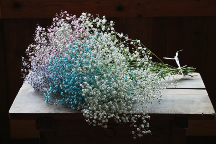 福島県昭和村で栽培された色とりどりのかすみ草の花束