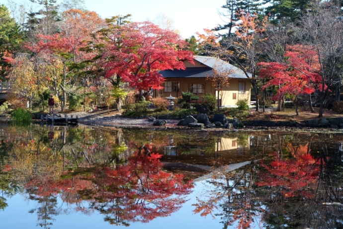 「玉泉館跡地公園」の太鼓橋と茶室（秋）